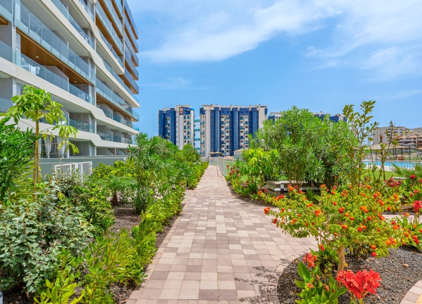 Rynek Wtórny - Apartament / Duplex - Orihuela Costa - Punta Prima