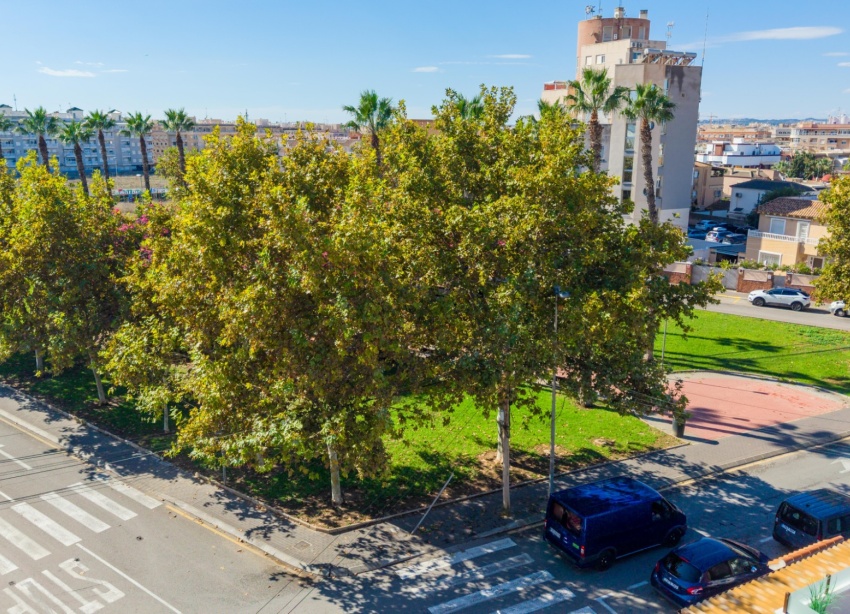 Rynek Wtórny - Apartament / Duplex - Torrevieja - Cala del palangre