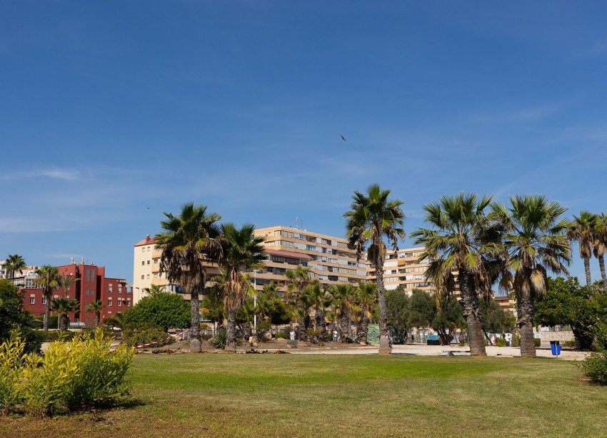 Rynek Wtórny - Apartament / Duplex - Torrevieja - La Mata