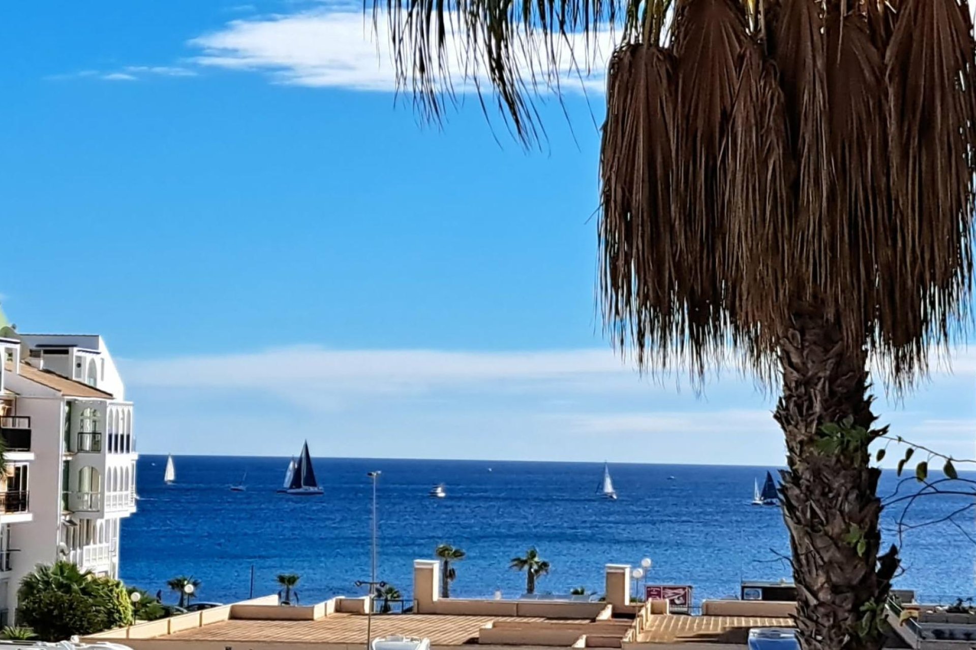 Rynek Wtórny - Apartament / Duplex - Torrevieja - La Veleta