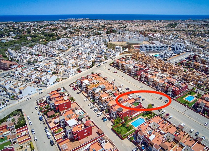 Rynek Wtórny - Apartament / Duplex - Torrevieja - Los Altos