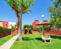 Rynek Wtórny - Apartament / Duplex - Torrevieja - Los Altos