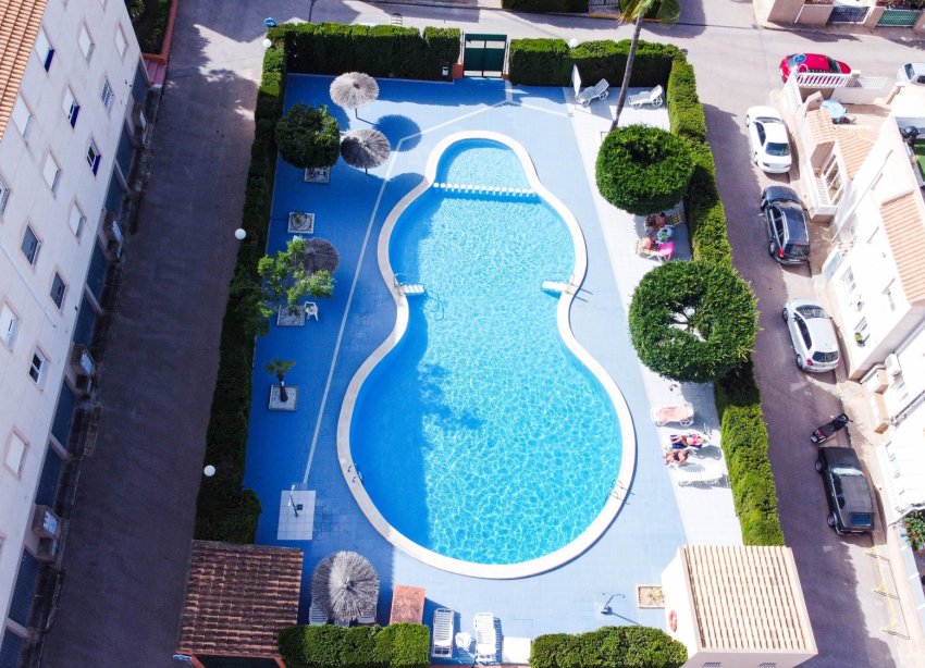 Rynek Wtórny - Apartament / Duplex - Torrevieja - Los Balcones