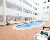 Rynek Wtórny - Apartament / Duplex - Torrevieja - Parque de Las Naciones