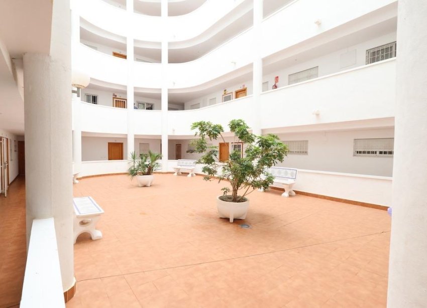 Rynek Wtórny - Apartament / Duplex - Torrevieja - Parque de Las Naciones
