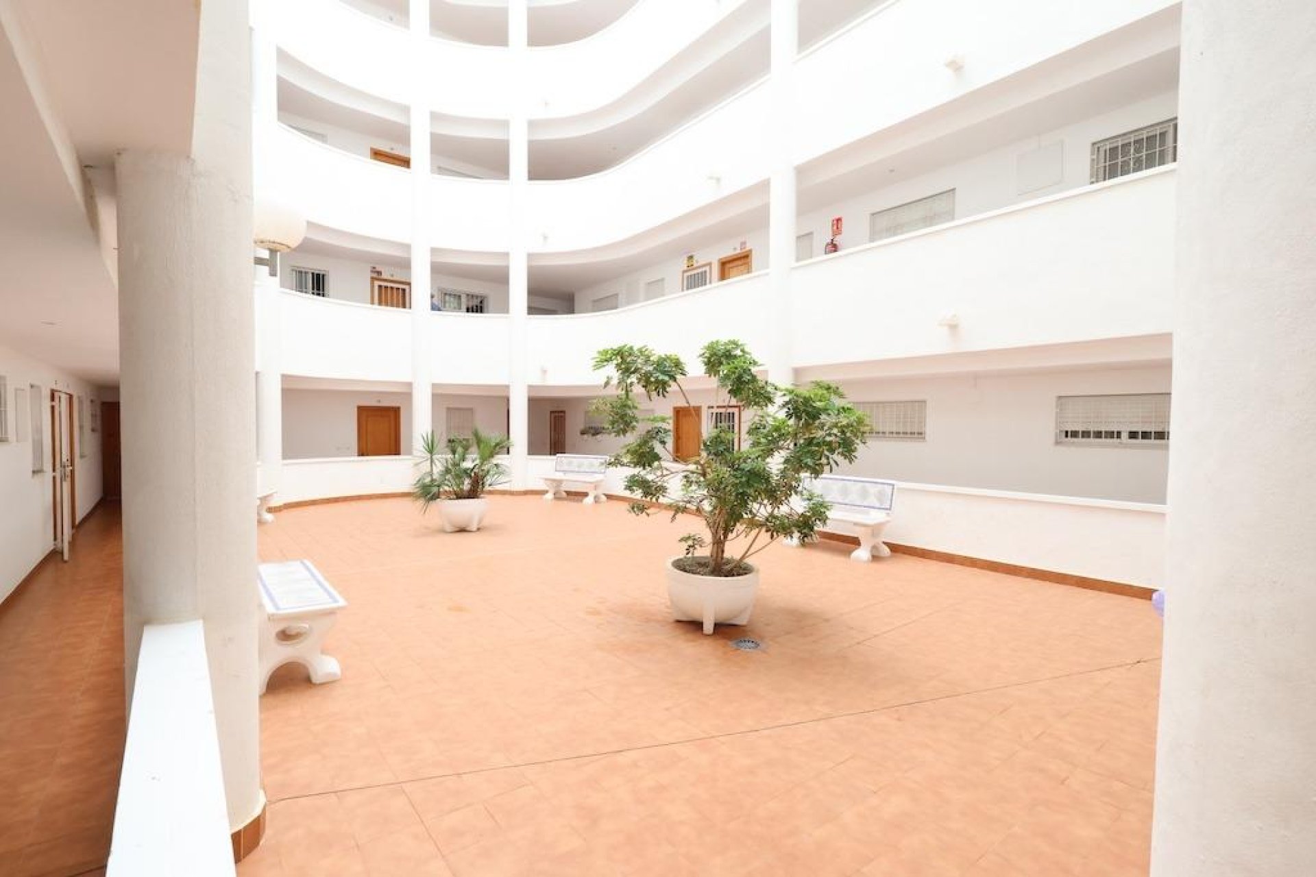 Rynek Wtórny - Apartament / Duplex - Torrevieja - Parque de Las Naciones