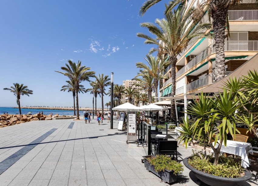 Rynek Wtórny - Apartament / Duplex - Torrevieja - Paseo maritimo