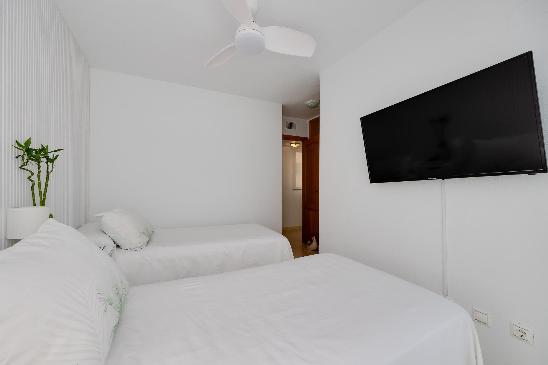 Rynek Wtórny - Apartament / Duplex - Torrevieja - Playa de los Locos