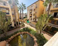 Rynek Wtórny - Apartament / Duplex - Torrevieja - Playa de los Locos