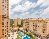 Rynek Wtórny - Apartament / Duplex - Torrevieja - Playa de los Locos