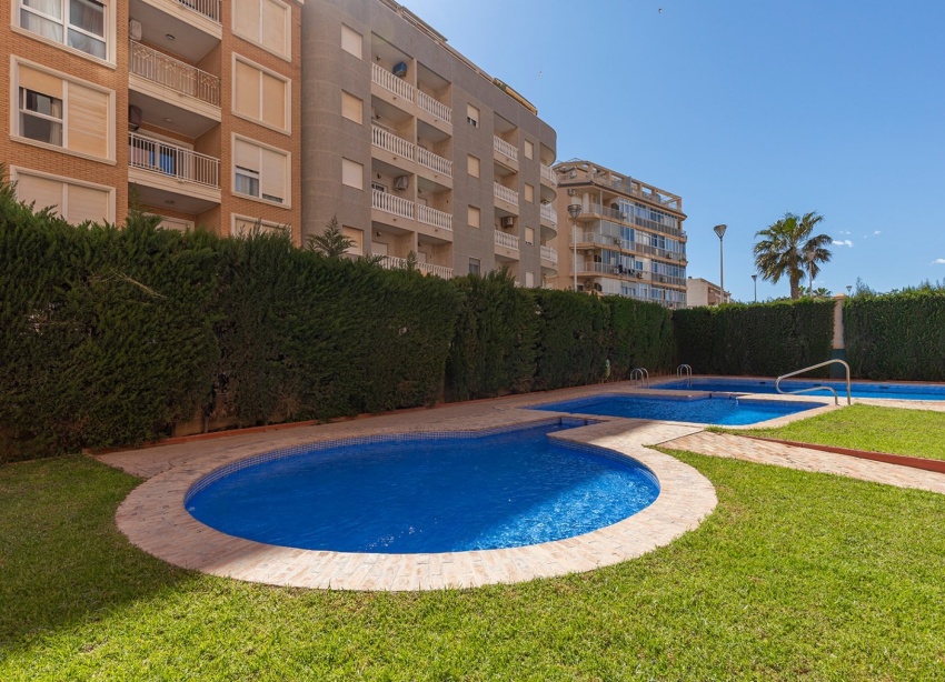 Rynek Wtórny - Apartament / Duplex - Torrevieja - Playa de los Locos