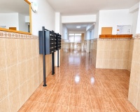 Rynek Wtórny - Apartament / Duplex - Torrevieja - Playa de los Locos