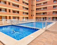 Rynek Wtórny - Apartament / Duplex - Torrevieja - Playa de los Naufragos