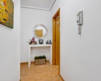 Rynek Wtórny - Apartament / Duplex - Torrevieja - Playa del Acequión