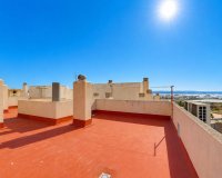 Rynek Wtórny - Apartament / Duplex - Torrevieja - Playa del Acequión