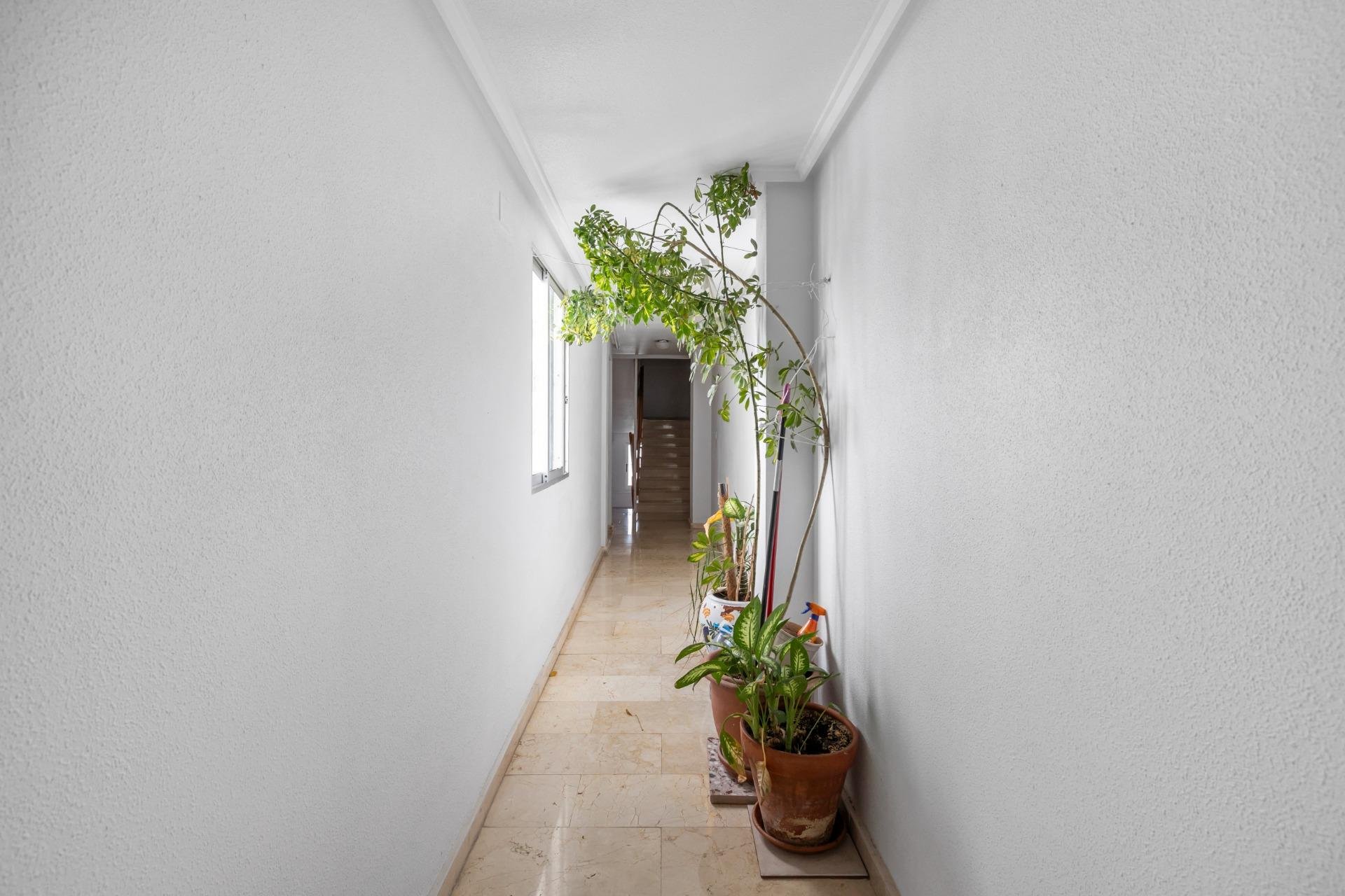 Rynek Wtórny - Apartament / Duplex - Torrevieja - Playa del Cura