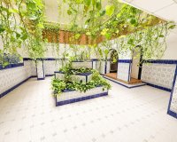 Rynek Wtórny - Apartament / Duplex - Torrevieja - Playa del Cura