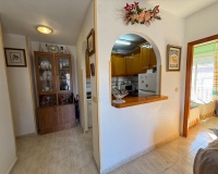 Rynek Wtórny - Apartament / Duplex - Torrevieja - Playa del Cura