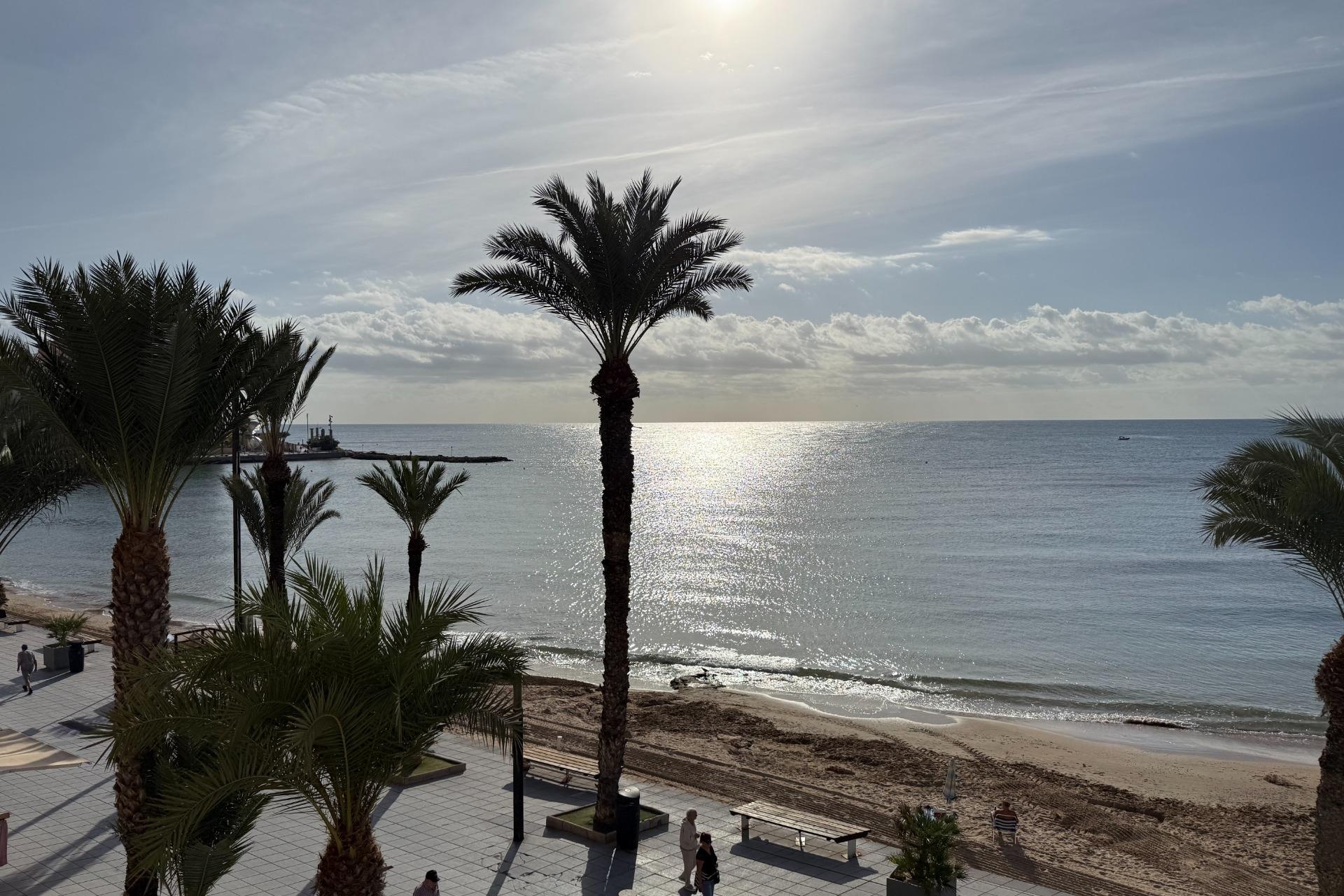 Rynek Wtórny - Apartament / Duplex - Torrevieja - Playa del Cura