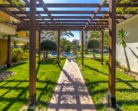 Rynek Wtórny - Apartament / Duplex - Torrevieja - Punta Prima
