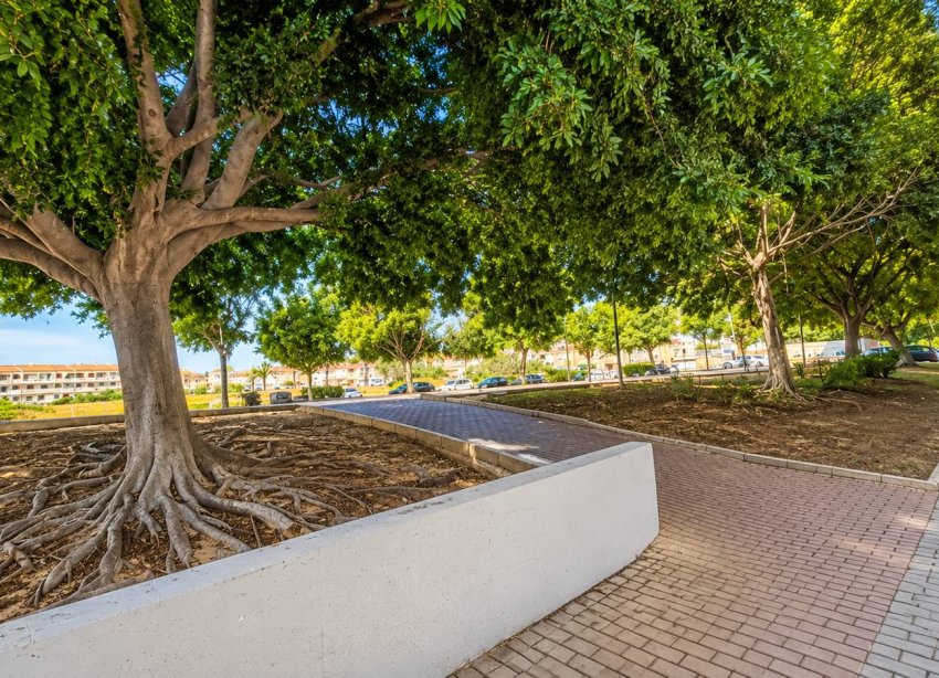 Rynek Wtórny - Apartament / Duplex - Torrevieja
