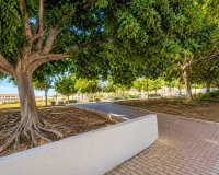 Rynek Wtórny - Apartament / Duplex - Torrevieja