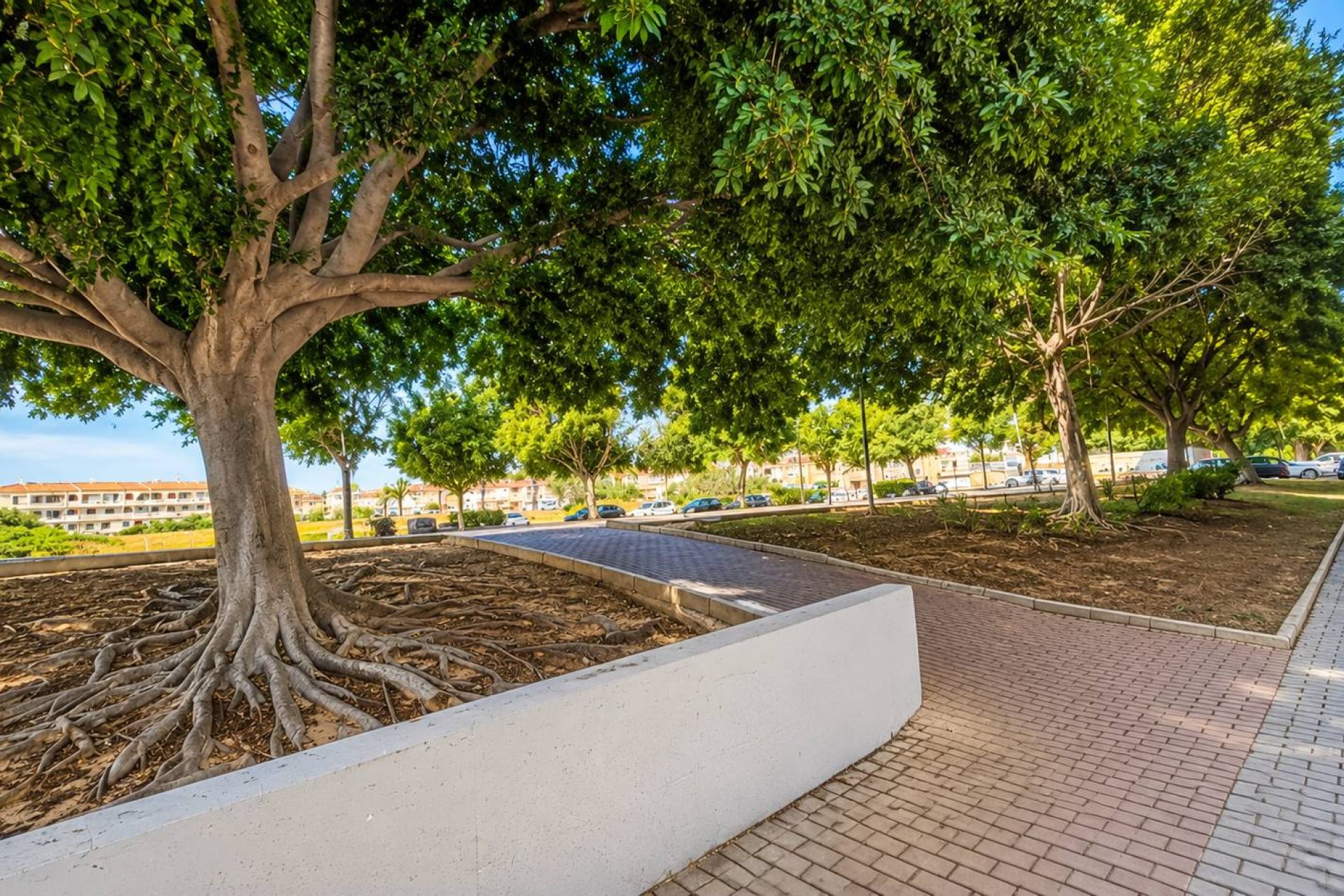 Rynek Wtórny - Apartament / Duplex - Torrevieja