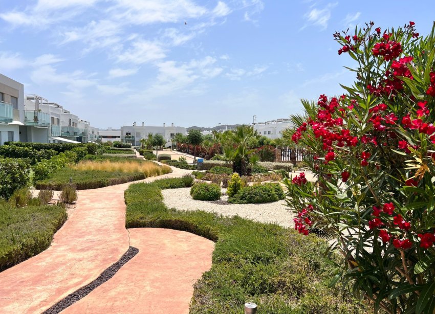 Rynek Wtórny - Apartament - Entre Naranjo - Vistabella Golf - Entre Naranjos Vistabella Golf