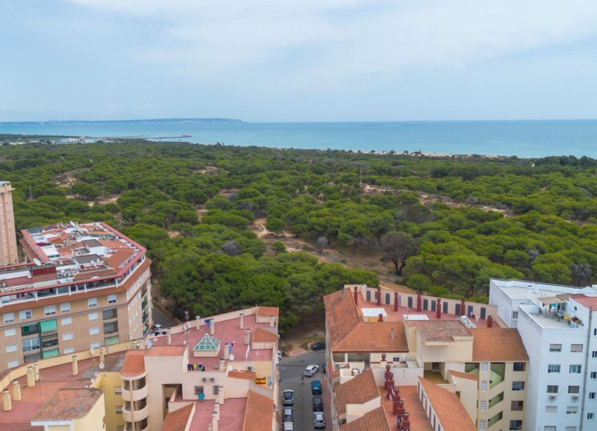 Rynek Wtórny - Apartament - Guardamar del Segura - Centro