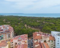 Rynek Wtórny - Apartament - Guardamar del Segura - Centro