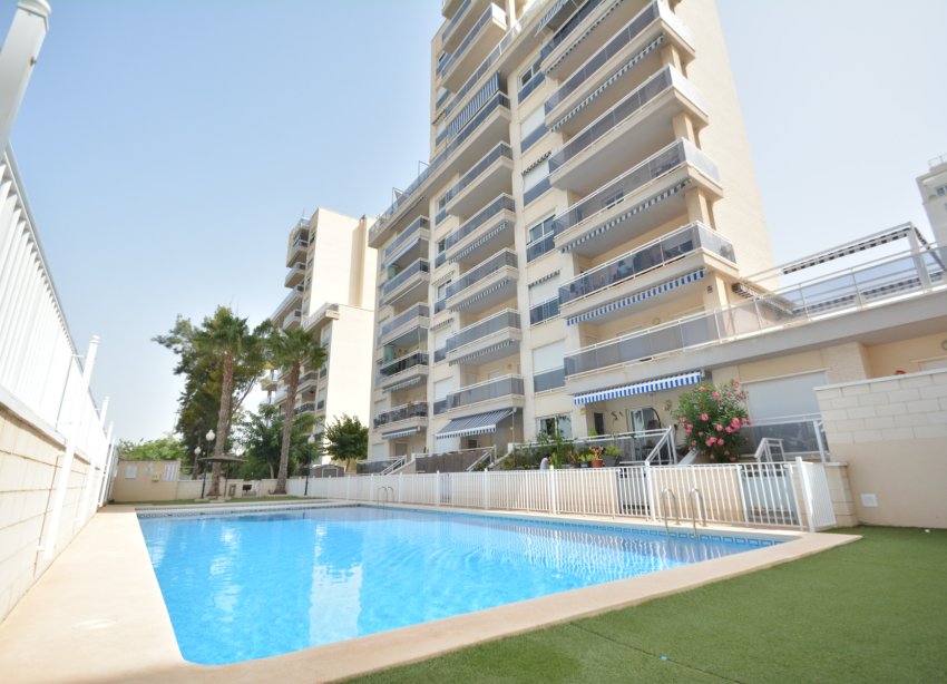 Rynek Wtórny - Apartament - Guardamar del Segura - SUP 7