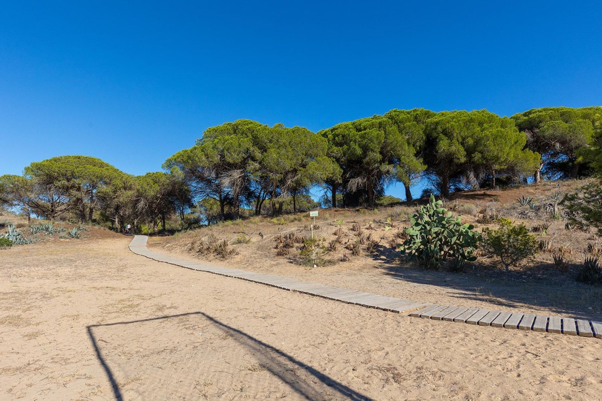 Rynek Wtórny - Apartament - Guardamar del Segura - Urb. pinomar