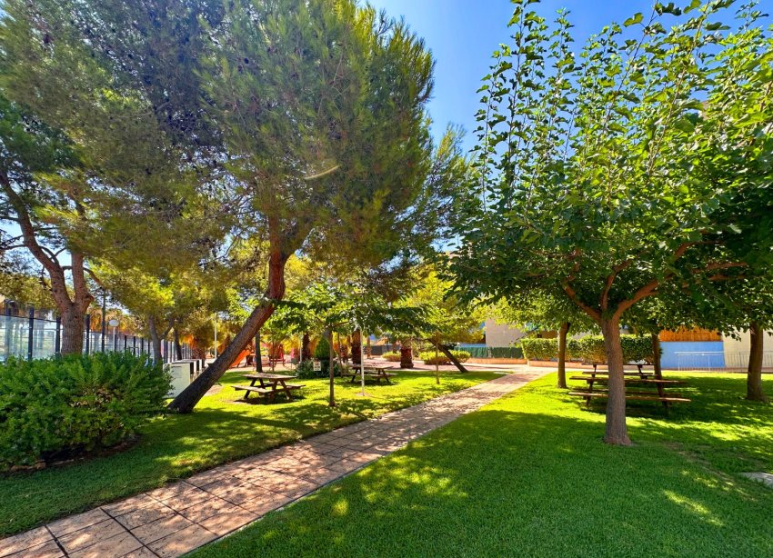 Rynek Wtórny - Apartament - Orihuela Costa - Agua Marina