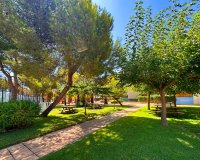Rynek Wtórny - Apartament - Orihuela Costa - Agua Marina
