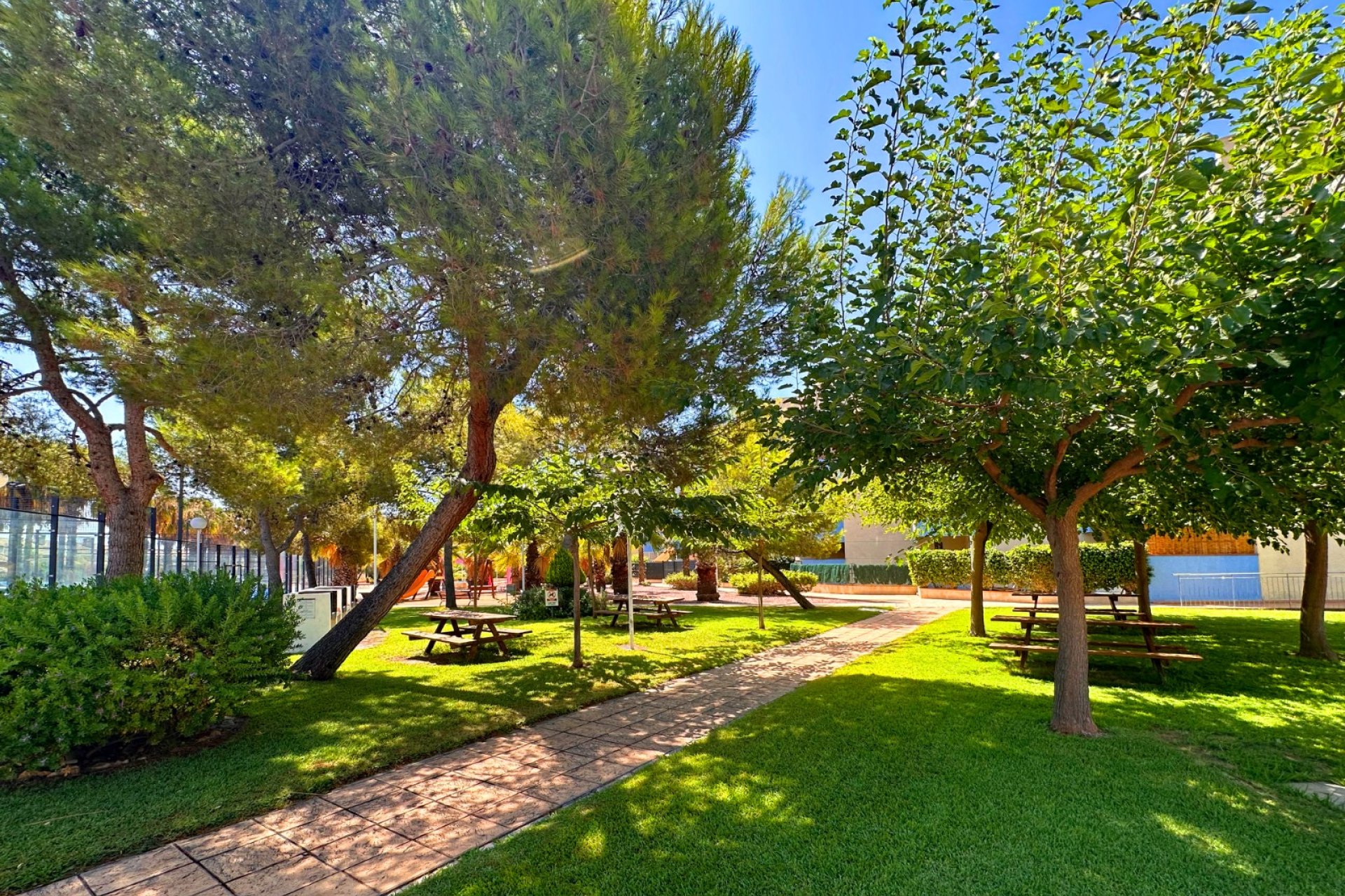 Rynek Wtórny - Apartament - Orihuela Costa - Agua Marina