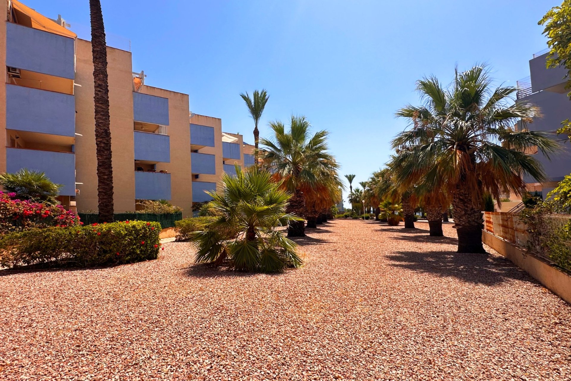 Rynek Wtórny - Apartament - Orihuela Costa - Agua Marina