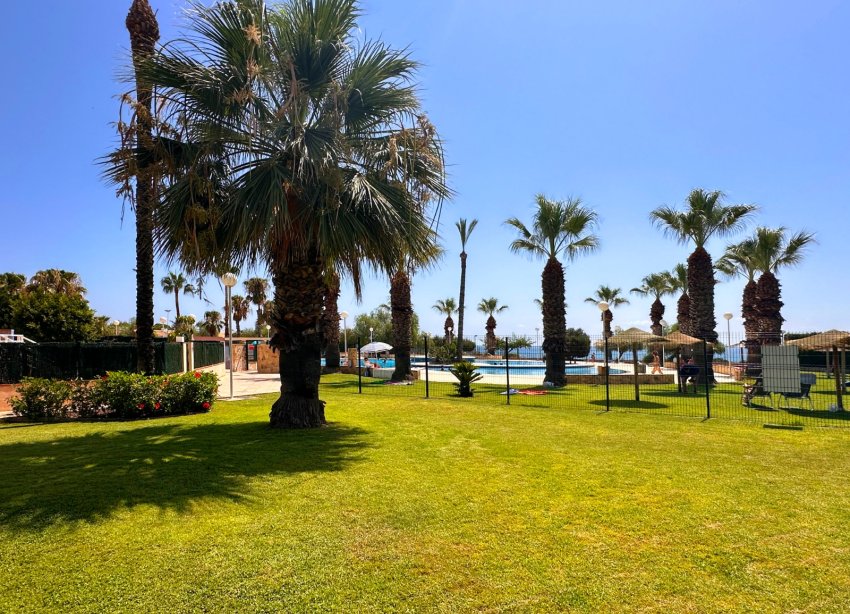 Rynek Wtórny - Apartament - Orihuela Costa - Agua Marina
