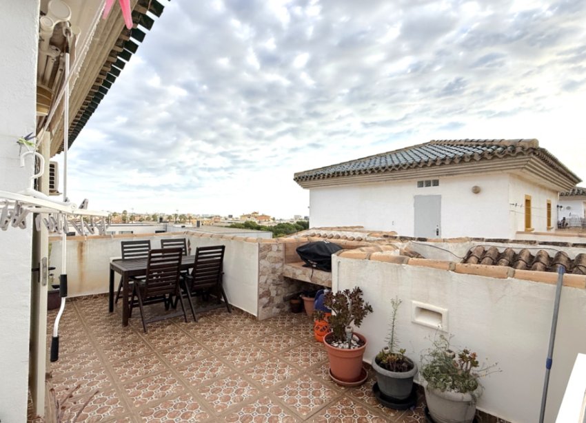 Rynek Wtórny - Apartament - Orihuela - Costa Blanca Sur