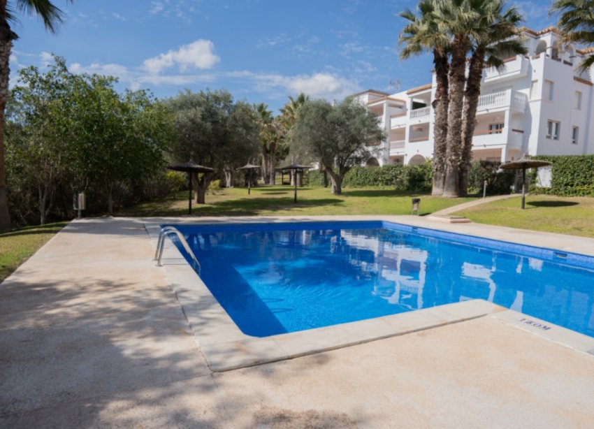 Rynek Wtórny - Apartament - Orihuela - Costa Blanca