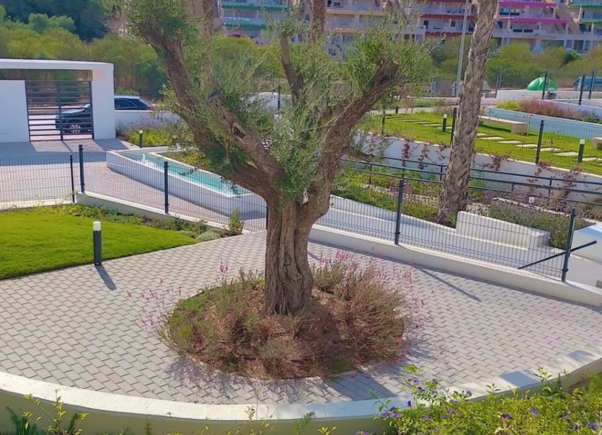 Rynek Wtórny - Apartament - Orihuela - Costa Blanca