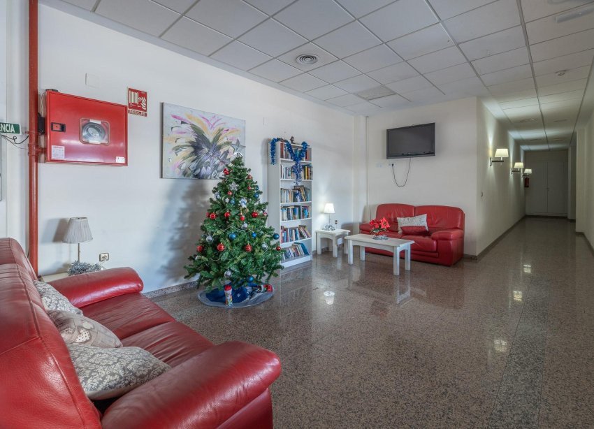 Rynek Wtórny - Apartament - Orihuela Costa - Cabo Roig