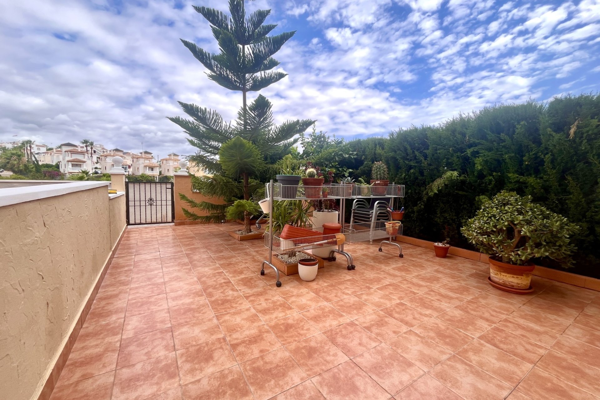Rynek Wtórny - Apartament - Orihuela Costa - Cabo Roig