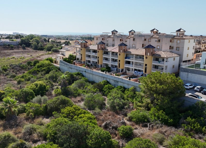 Rynek Wtórny - Apartament - Orihuela Costa - Cabo Roig