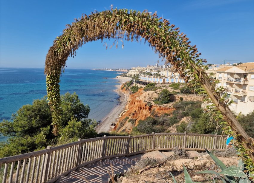 Rynek Wtórny - Apartament - Orihuela Costa - Cabo Roig