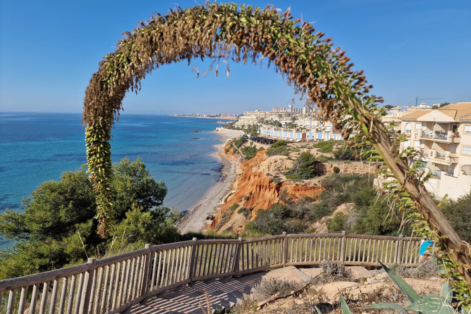 Rynek Wtórny - Apartament - Orihuela Costa - Cabo Roig