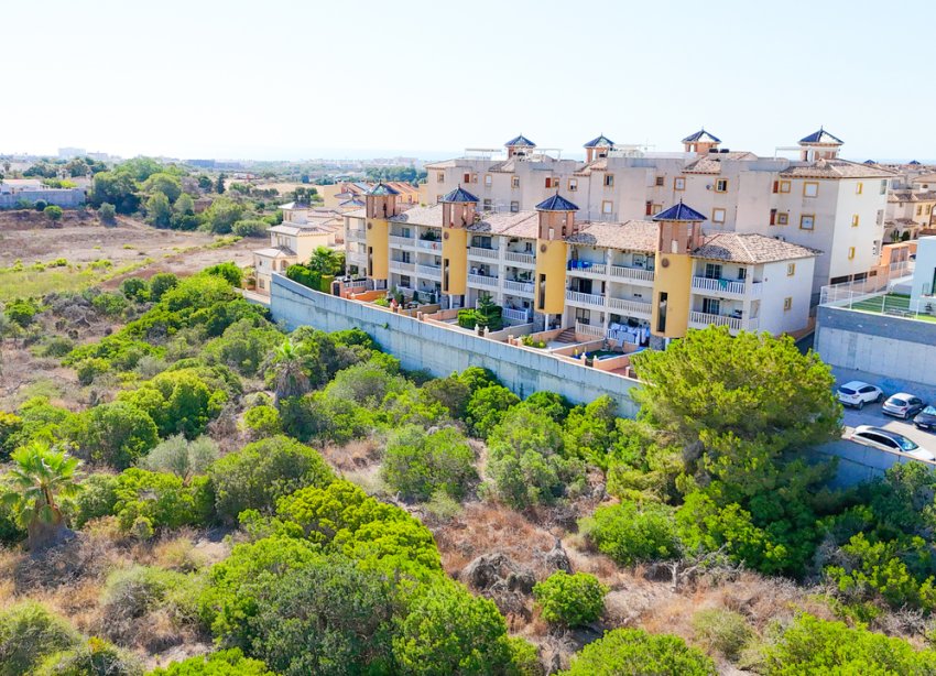 Rynek Wtórny - Apartament - Orihuela Costa - Cabo Roig