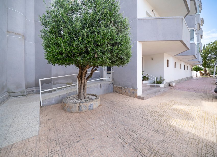 Rynek Wtórny - Apartament - Orihuela Costa - Cabo Roig