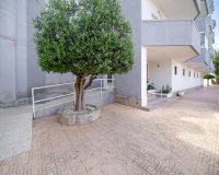 Rynek Wtórny - Apartament - Orihuela Costa - Cabo Roig