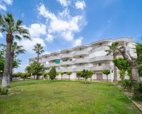 Rynek Wtórny - Apartament - Orihuela Costa - Cabo Roig