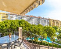 Rynek Wtórny - Apartament - Orihuela Costa - Campoamor